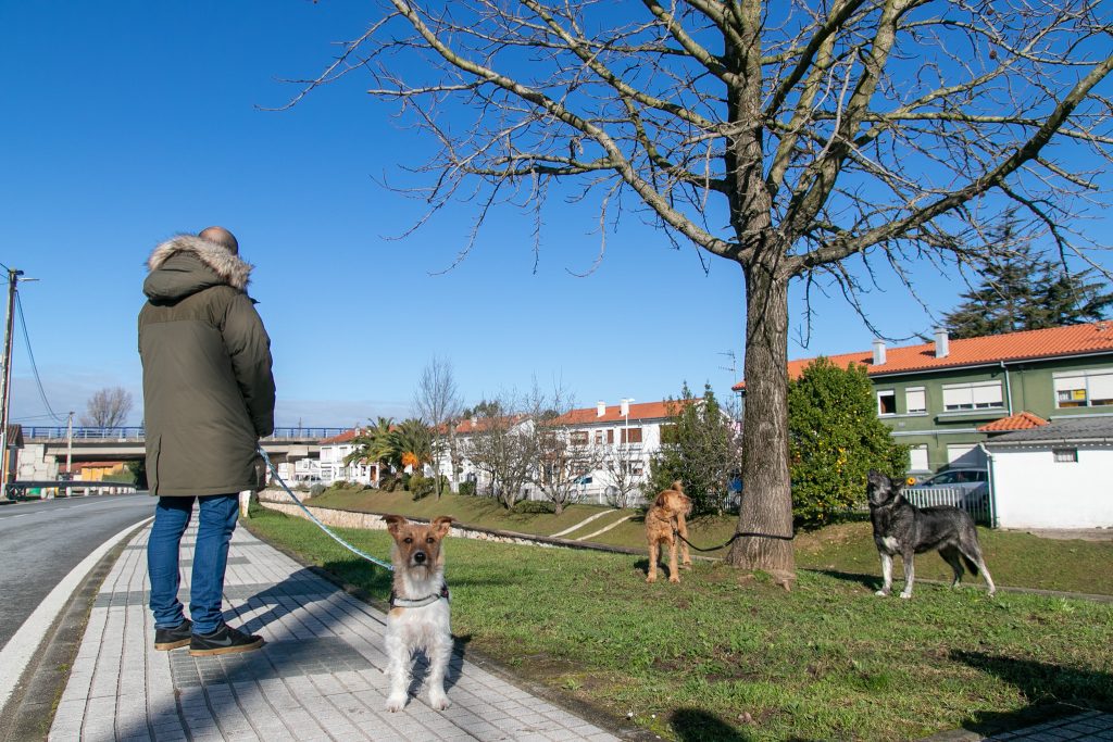 Un vecino paseando sus perros por una calle de Rinconeda