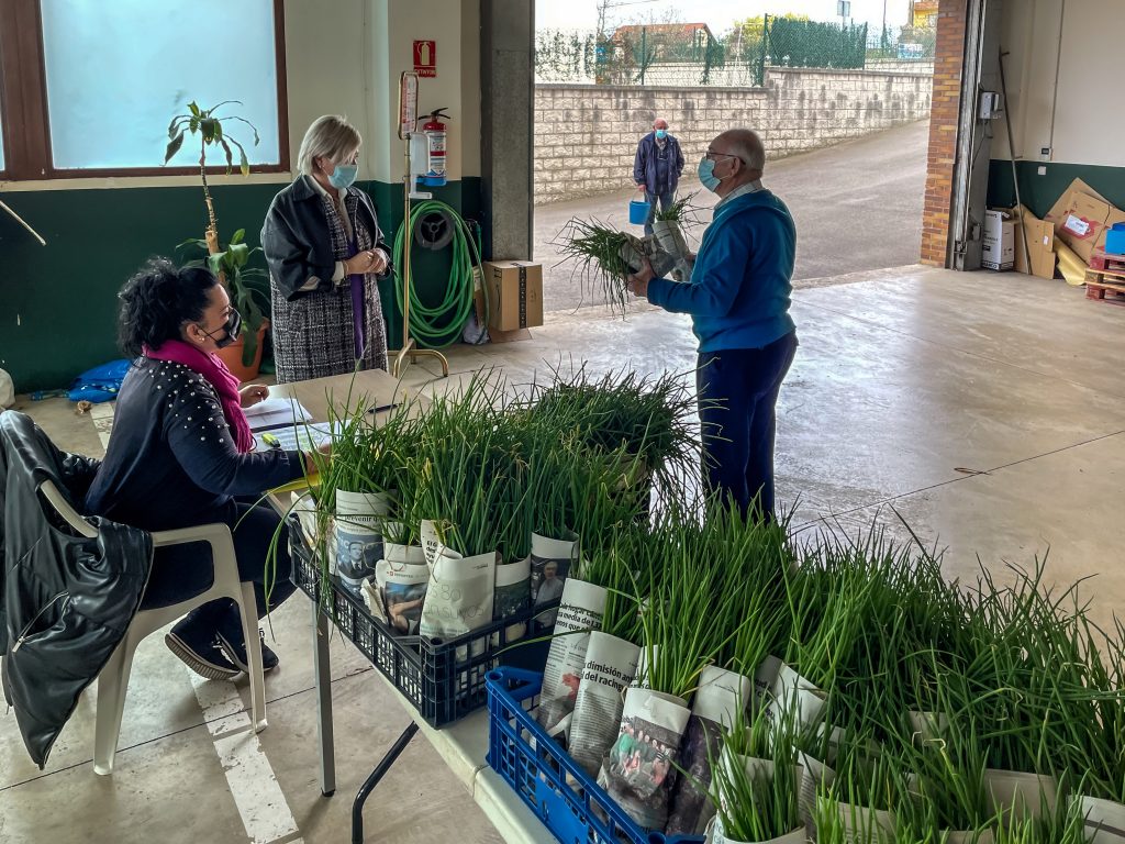 La alcaldesa, Rosa Díaz Fernández, y los concejales Isabel Herrera Landeras y Cristian Olmo Salas durante el reparto de las plantas de cebolla a los vecinos