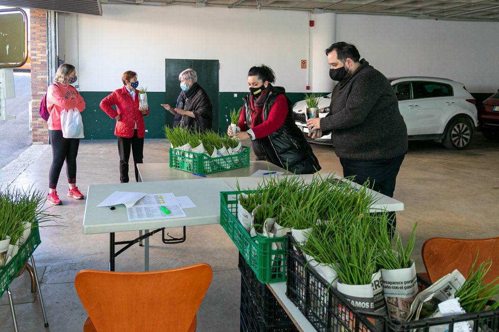 La alcaldesa de Polanco, Rosa Díaz Fernández, y la concejal de Medio Ambiente, Isabel Herrera, durante uno de los repartos de planta del pasado año