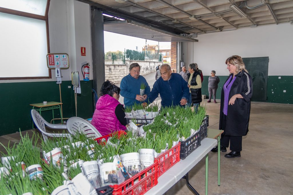 La alcaldesa de Polanco, Rosa Díaz Fernández, y los concejales Isabel Herrera Landeras y Fernando Sañudo durante el reparto de las plantas de cebolla