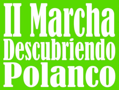 Marcha Descubriendo Polaco