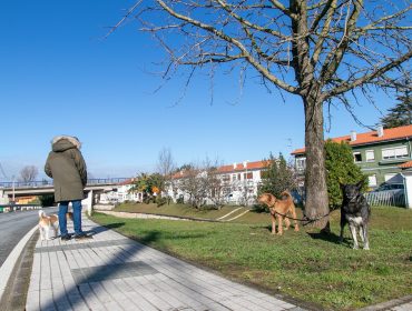 Un vecino paseando sus perros por una calle de Rinconeda