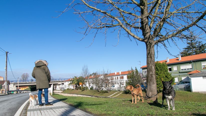 Un vecino paseando sus perros por una calle de Rinconeda