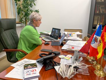 La alcaldesa de Polanco presidiendo el pleno telemático celebrado este lunes para probar la salida de la Mancomunidad de Municipios Sostenibles