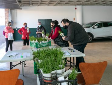 La alcaldesa de Polanco, Rosa Díaz Fernández, y los concejales Isabel Herrera Landeras y Cristian Olmo Salas durante el reparto de las plantas de cebolla