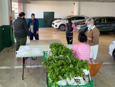 La alcaldesa de Polanco, Rosa Díaz Fernández, y los concejales Isabel Herrera Landeras y Cristian Olmo Salas durante el reparto de las plantas de pimiento y berenjena