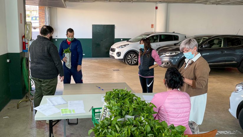 La alcaldesa de Polanco, Rosa Díaz Fernández, y los concejales Isabel Herrera Landeras y Cristian Olmo Salas durante el reparto de las plantas de pimiento y berenjena