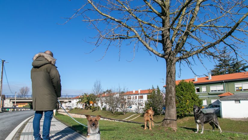 Un vecino paseando sus perros por una calle de Rinconeda