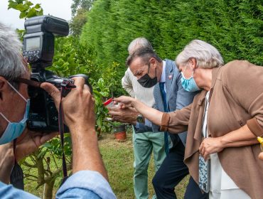 El consejero de Desarrollo Rural, Guillermo Blanco, y de la alcaldesa, Rosa Díaz, asisten a la suelta experimental del parasitoide Tamarixia dryi con el fin de frenar la expansión de la Psila Africana
