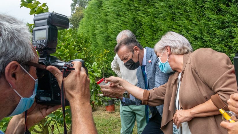 El consejero de Desarrollo Rural, Guillermo Blanco, y de la alcaldesa, Rosa Díaz, asisten a la suelta experimental del parasitoide Tamarixia dryi con el fin de frenar la expansión de la Psila Africana