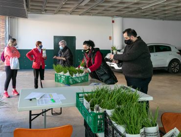 Los concejales Isabel Herrera Landeras y Cristian Olmo Salas durante el reparto de las plantas de pimiento y berenjena