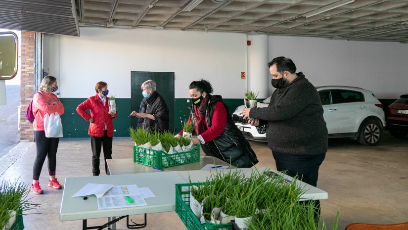 Los concejales Isabel Herrera Landeras y Cristian Olmo Salas durante el reparto de las plantas de pimiento y berenjena