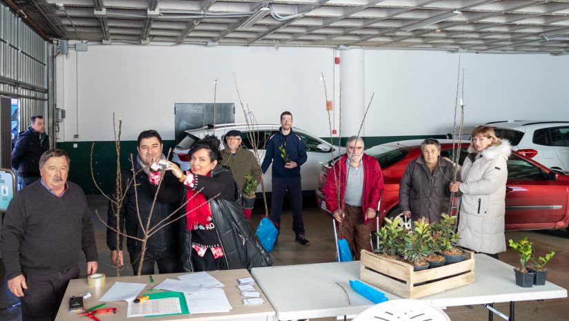 La alcaldesa y los concejales Isabel Herrera y Fernando Sañudo hacen entrega de los árboles a los vecinos de Polanco que lo solicitaron