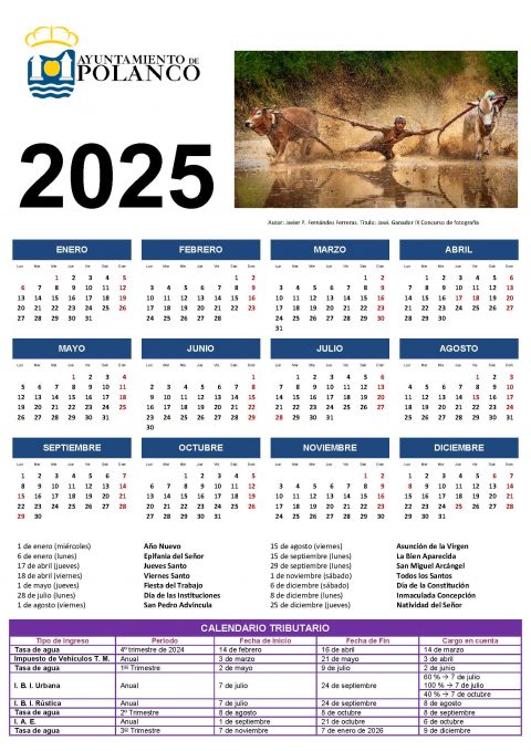 Calendario laboral y tributario 2025