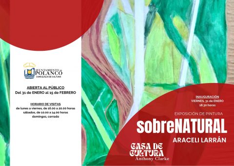 Exposicion pintura Araceli Larran