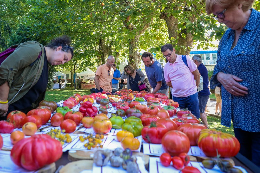 Aspecto de la feria con el público admirando los tomates presentados al concurso