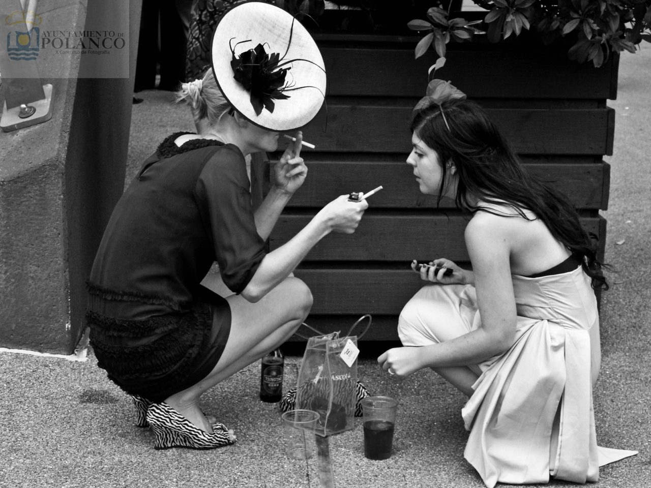 Participante X Concurso de fotografia