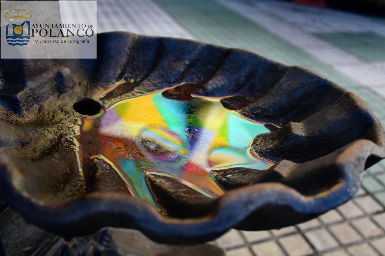 Finalista V Concurso de fotografía