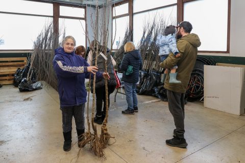 Vecinos participando en la recogida de ejemplares de la campaña Polanco Verde