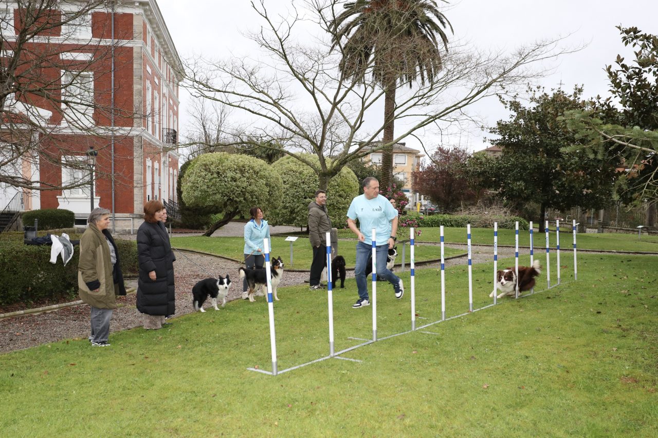 La alcaldesa de Polanco, Rosa Díaz, asiste a un entrenamiento previo de alguno de los perros que tomará parte en la prueba de Agility de Rinconeda