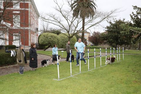 La alcaldesa de Polanco, Rosa Díaz, asiste a un entrenamiento previo de alguno de los perros que tomará parte en la prueba de Agility de Rinconeda