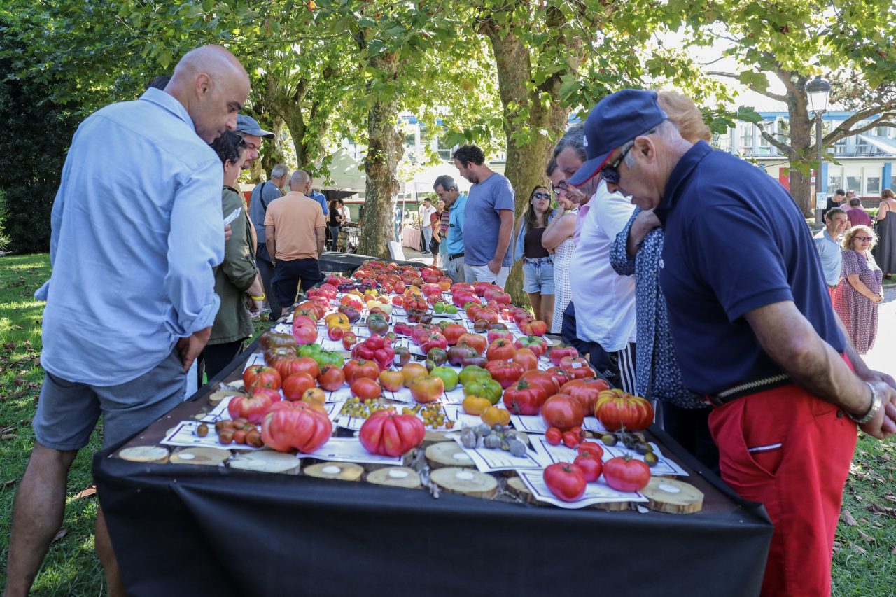 Público asistente a la pasada edición de la Feria Nacional del Tomate Antiguo