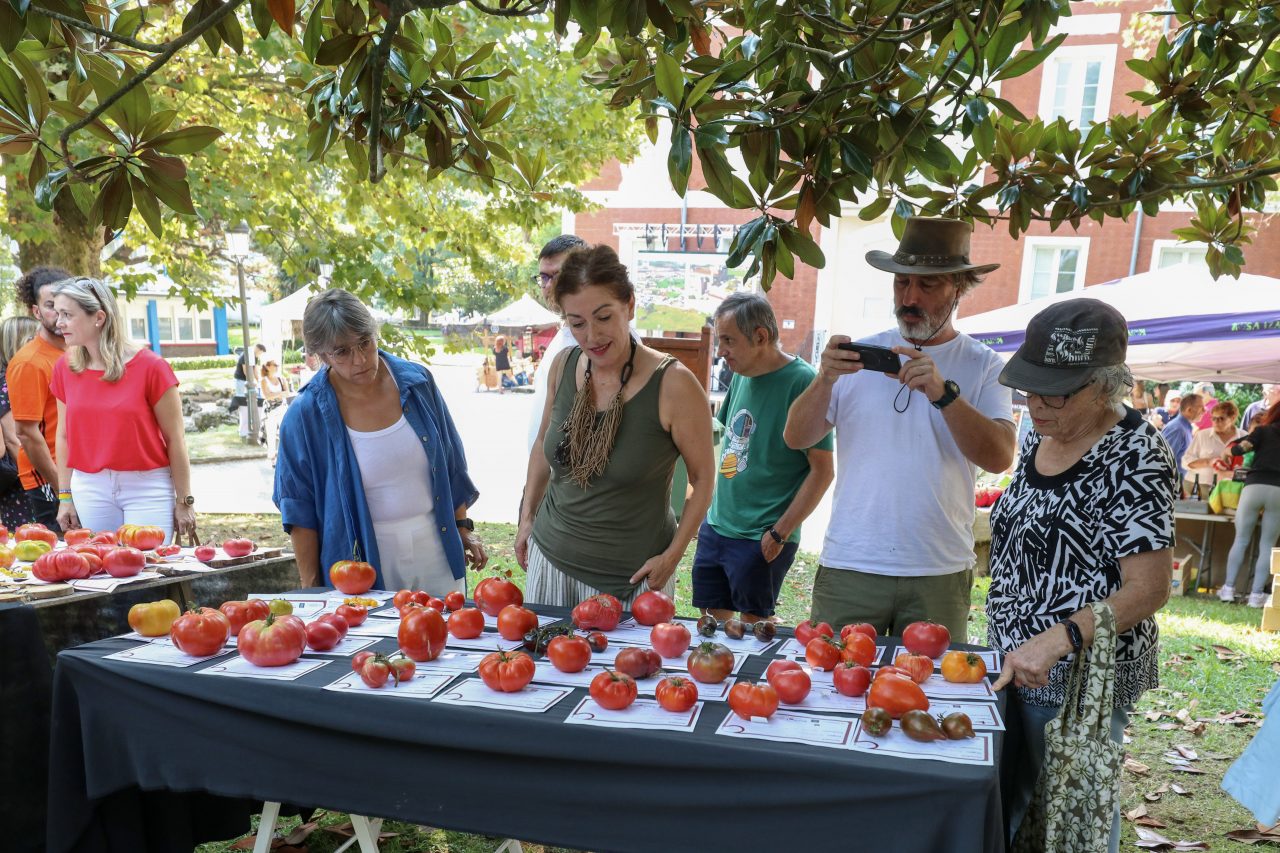 Público asistente a la pasada edición de la Feria Nacional del Tomate Antiguo